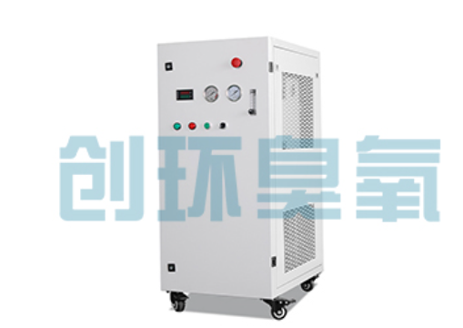 宿迁石斑鱼养殖水质调控完整指南:臭氧发生器配置与操作步骤