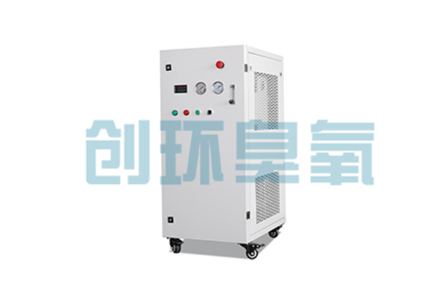 宿迁比传统换水更高效?臭氧发生器在石斑鱼养殖中的水质净化原理解析