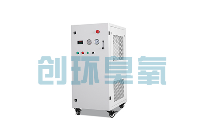 宿迁比传统换水更高效?臭氧发生器在石斑鱼养殖中的水质净化原理解析